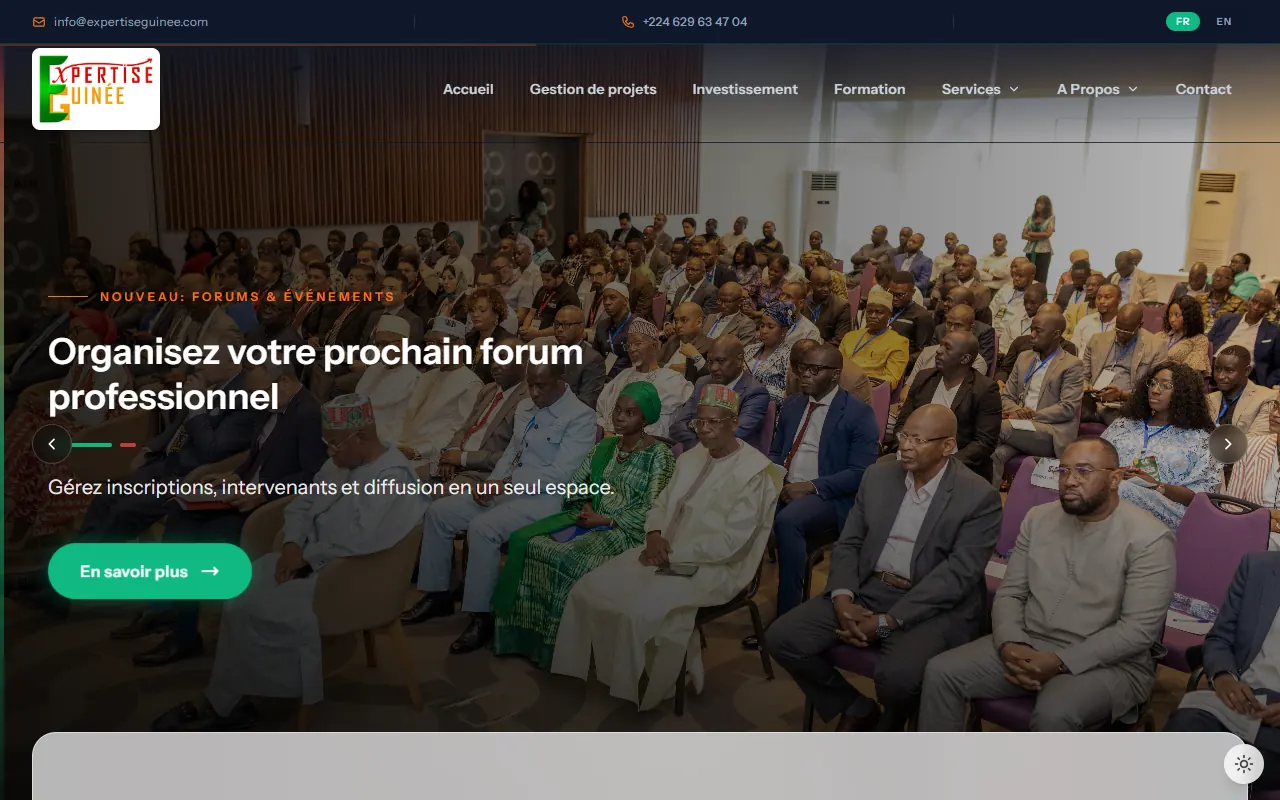 Capture d'écran du site Expertise Guinée